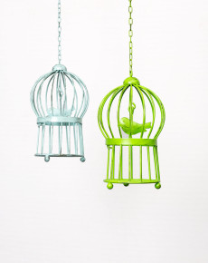 WS Bird Cages